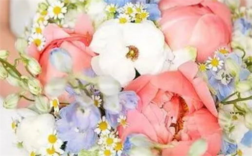 解读命运八字算命掌握人生轨迹与运势秘诀