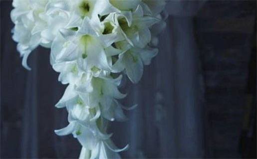 八字算命生子技巧解析和命理建议