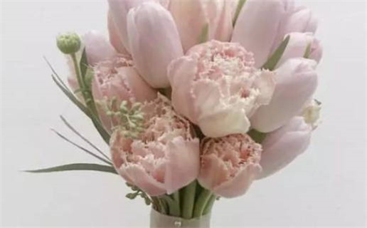 生辰八字算命几两命详解与实用技巧