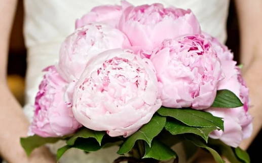 6月的黄道吉日查询_6月的黄道吉日查询表