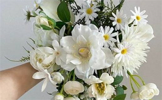 戌字的八字算命解析与人生运势指南