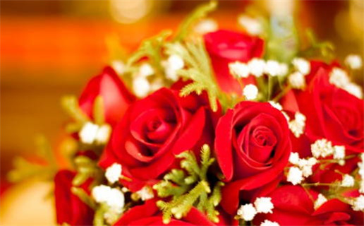 生肖鼠配对最佳选择和婚恋指南