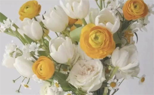 生肖鼠生在哪天好_属鼠的生在哪天好