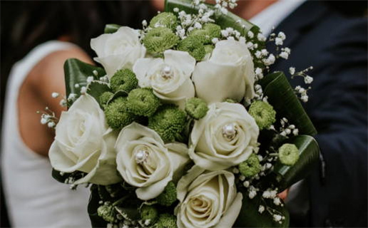 八字算命入门书籍推荐揭示命运奥秘