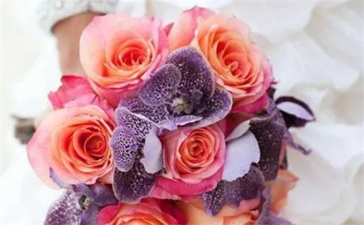 七月搬家黄道吉日查询指南助你选吉日搬家