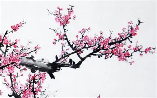 属鼠与属龙能否结婚的生肖配对分析