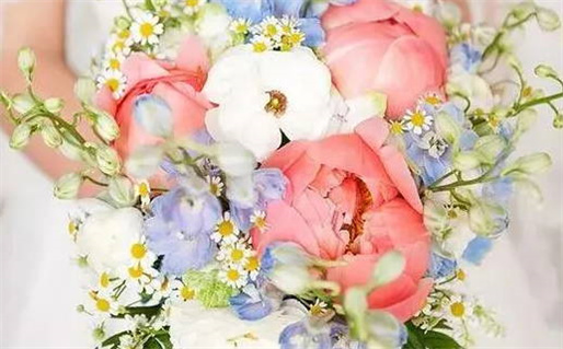 属龙与属鼠的完美匹配情感解析与相处之道