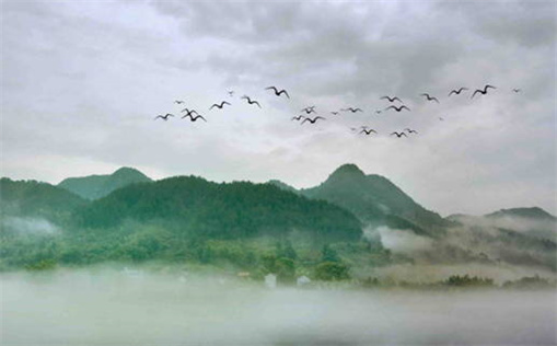 属鼠的人2020年怀孕(属鼠的人2020年怀孕几月生)