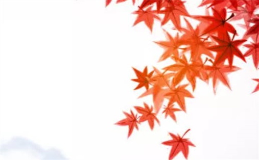 今日2026年06月18日动土老黄历不适宜吗,农历二〇二六年五月初四动土日子