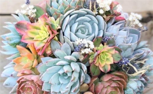 2026年06月20日不适合举办婚礼吗,这天结婚合适吗