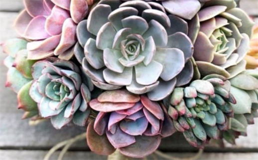 2027年02月17日老黄历适合领结婚证吗