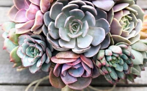 农历二〇二六年六月初四黄历领证不适宜吗,这天领证合适吗