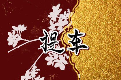 农历二〇二八年三月廿一黄历提取座驾不适合吗,提车吉日查询