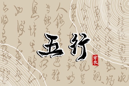 2028年01月19日五行穿衣指南